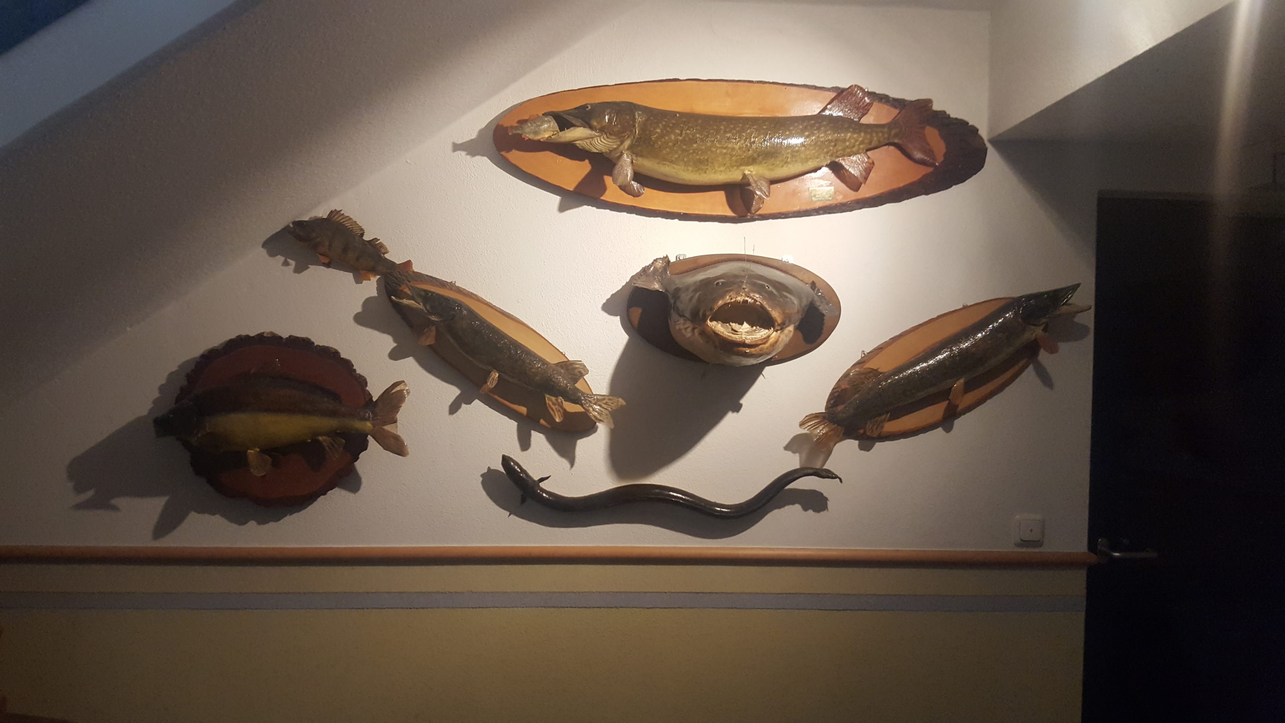 Kleines Hotel Angler Museum